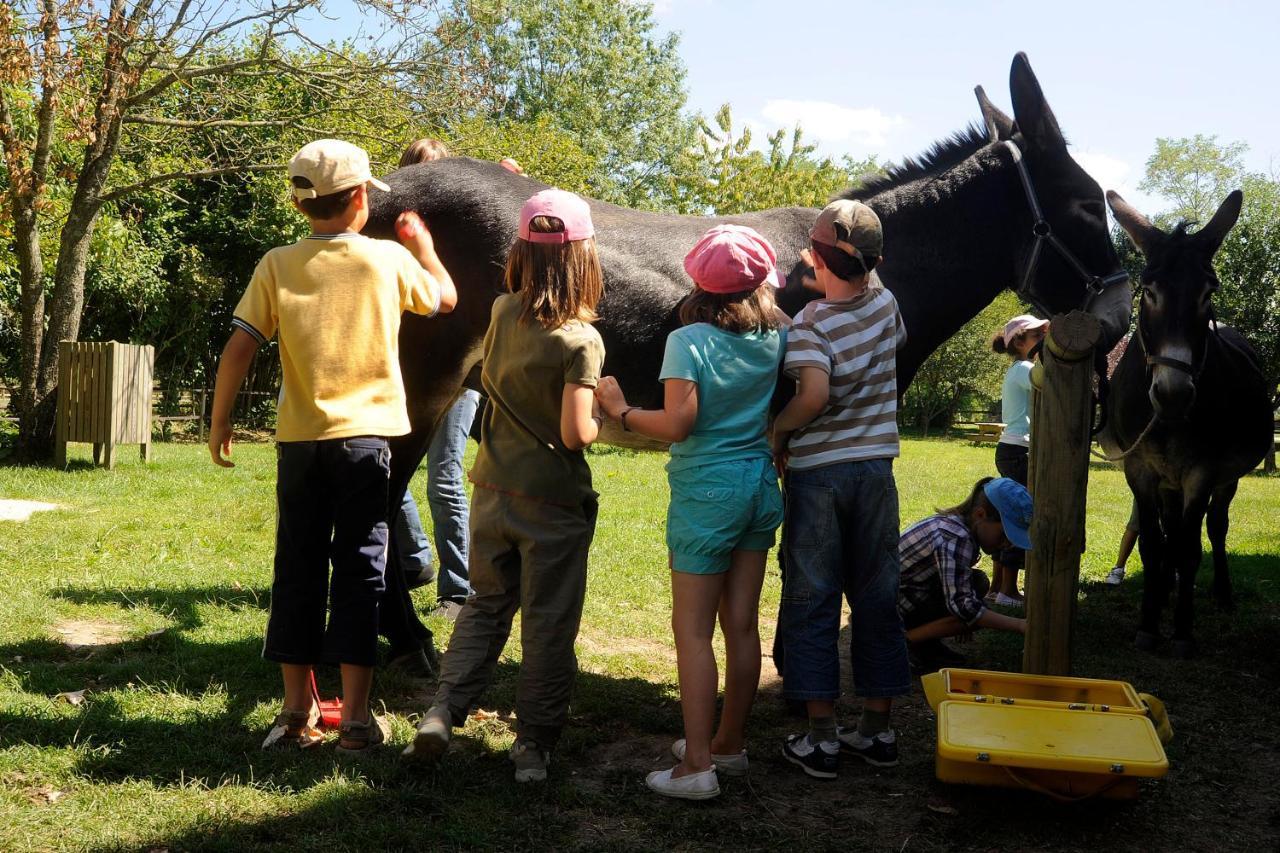 Le Village De Cottages - Le Pole Du Cheval Et De L'Ane Lignieres  Ngoại thất bức ảnh