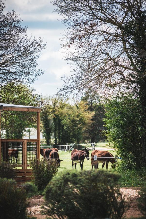 Le Village De Cottages - Le Pole Du Cheval Et De L'Ane Lignieres  Ngoại thất bức ảnh